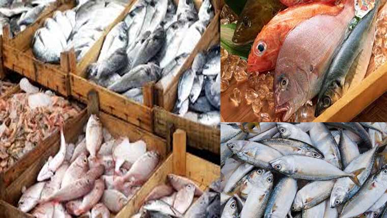  اُرمچی کو دو سال بعد تازہ سمندری خوراک کی درآمدات بحال