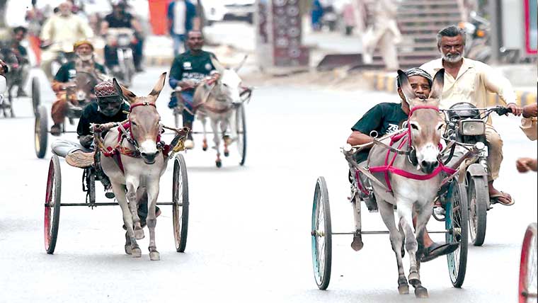  گدھا گاڑی ریس میں ندیم فاتح،75 ہزارکیش انعام