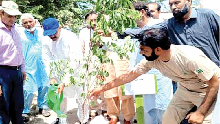 گورنمنٹ ہائی سکول شورکوٹ ، شجرکاری مہم کی تقریب