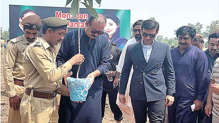 منڈی بہا ئوالدین:ڈفر جنگل میں  10 ہزار پودے لگا دئیے گئے