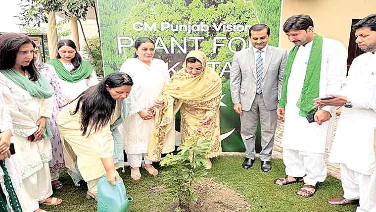 پنجاب کالج کامونکے میں یومِ آزادی منانے کی تیاریاں 