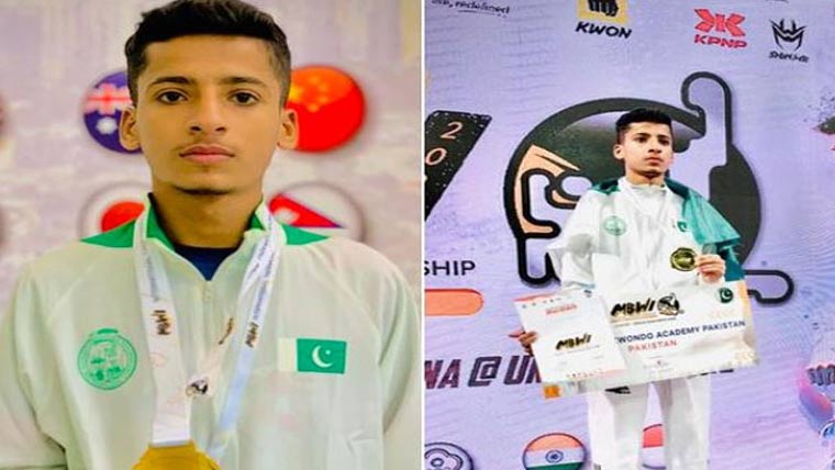  تائیکوانڈو ، ہادی جعفری نے  ملائشیا میں گولڈ میڈل جیت لیا