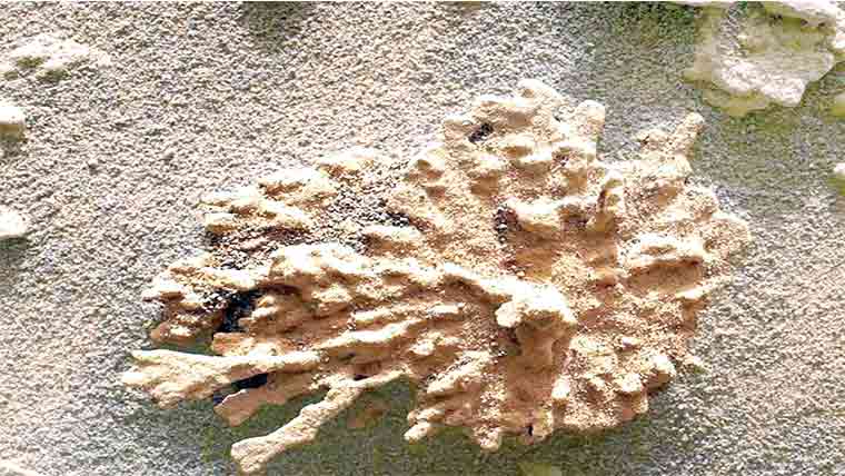 مریخ پر ناسا نے عجیب ساخت کا پتھر دریافت کرلیا