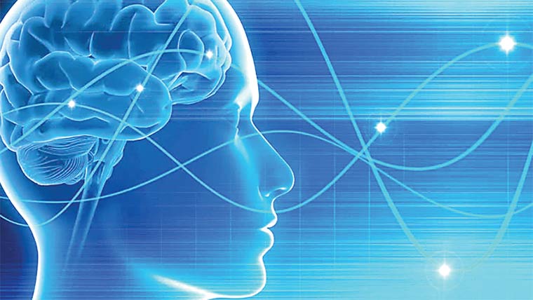 یادداشت ،سیکھنے کی صلاحیت بڑھانے والا پروٹین دریافت