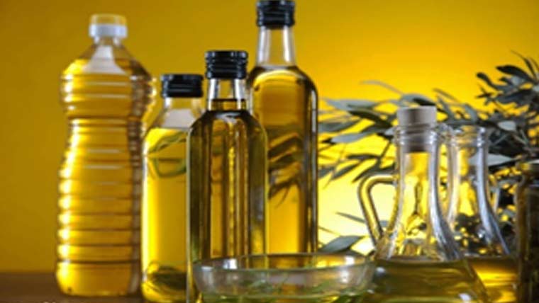 7سال میں زیتون کے تیل کی برآمد شروع ہوجائیگی،ڈاکٹر طارق