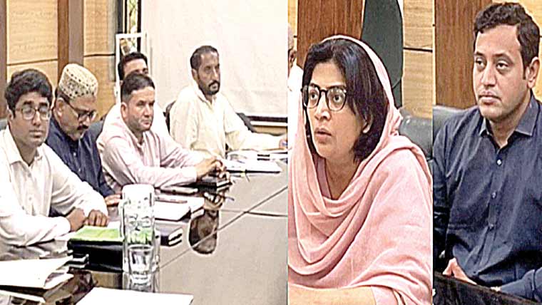 زرعی پیداوار بڑھانے کیلئے اقدامات تیز کرنے کی ہدایت