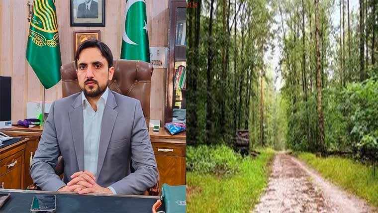 جنگلات کی زمینیں وا گزار کرانے کیلئے مشترکہ کارروائیوں کا فیصلہ 