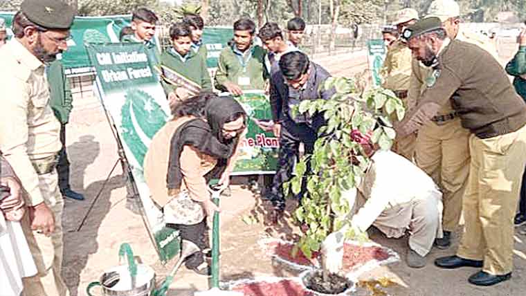 شورکوٹ:اربن فاریسٹ پراجیکٹ کے تحت شجرکاری مہم