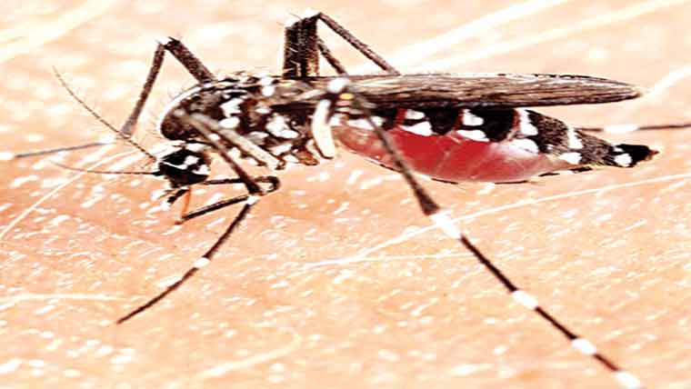 مصدقہ مریض رپورٹ 