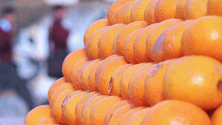 پاک افغان کشیدگی سے کینو کے برآمدکنندگان شدیدمتاثر