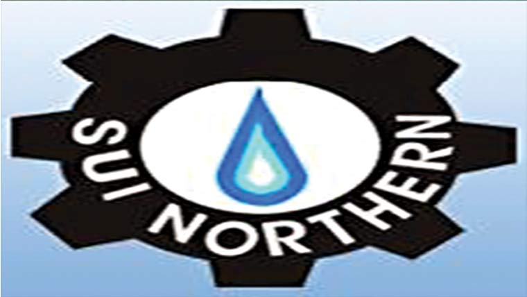  ٹاسک فورس کی کارروائی