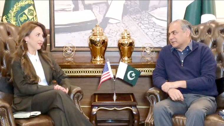 محسن نقوی، نٹیلی بیکر کی ملاقات: انسداد منشیات، غیر قانونی امیگریشن روکنے پر اتفاق 