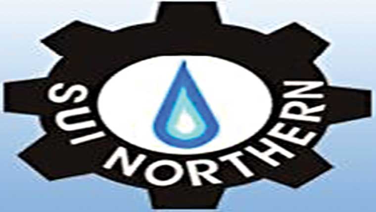 ٹاسک فورس کی کارروائیاں 