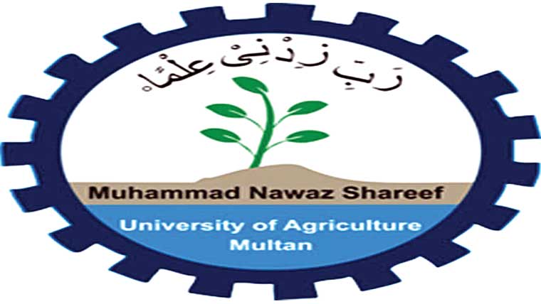 کانووکیشن 23دسمبر کو شیڈول