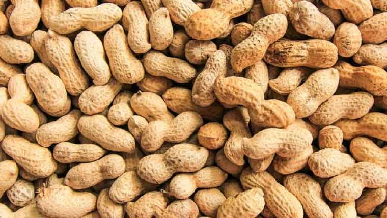 مہنگائی کا طوفان قیمتوں کی اونچی اڑان جاری،مونگ پھلی بھی ہزار روپے کلو