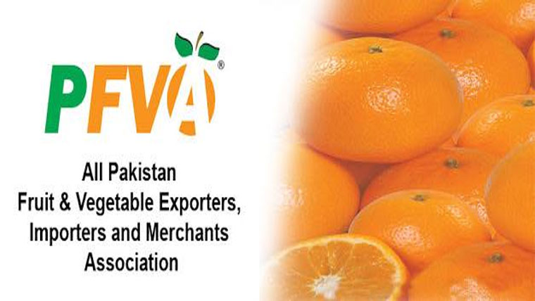 رواں سیزن کینو کی برآمدات کیلئے 3لاکھ ٹن کا ہدف مقرر