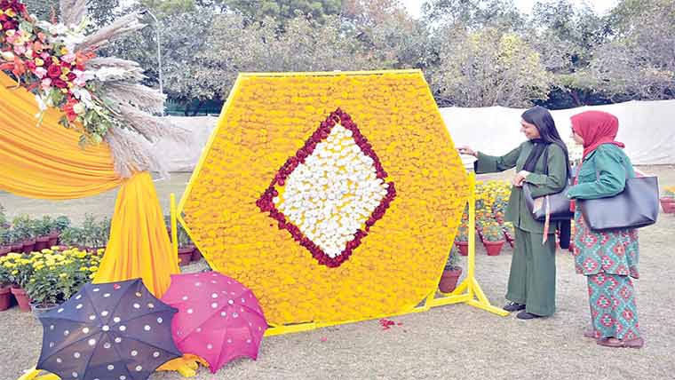 زرعی یونیورسٹی میں گل ِ داؤدی کی 3روزہ دلکش نمائش 