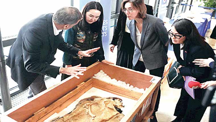 فرانس کا منگولیا کو 7کروڑ سال پرانا ڈائناسور کا ڈھانچہ واپس 