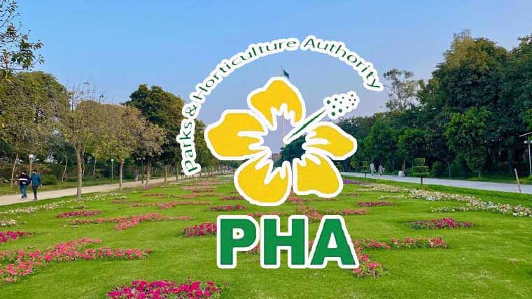 پی ایچ اے، گرین بیلٹس گل داؤدی اور  گیندے کے پھولوں سے سجا دیئے گئے