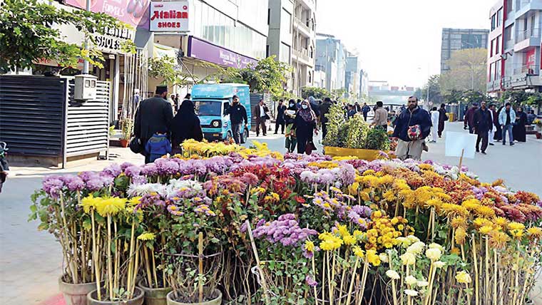 کینٹ بورڈ کے زیراہتمام بینک  روڈ پر گل داؤدی کی نمائش کا افتتاح 