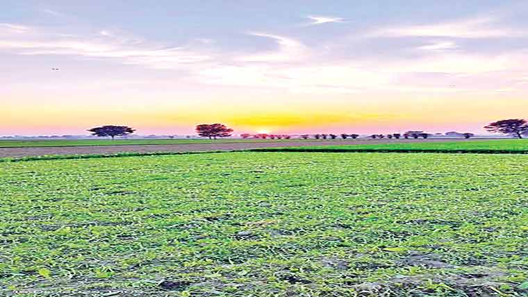  قبضے کی کوشش،مقدمہ درج