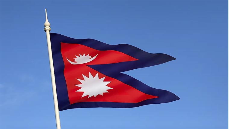 نیپال میں شیر شماری مہم کا آغاز 