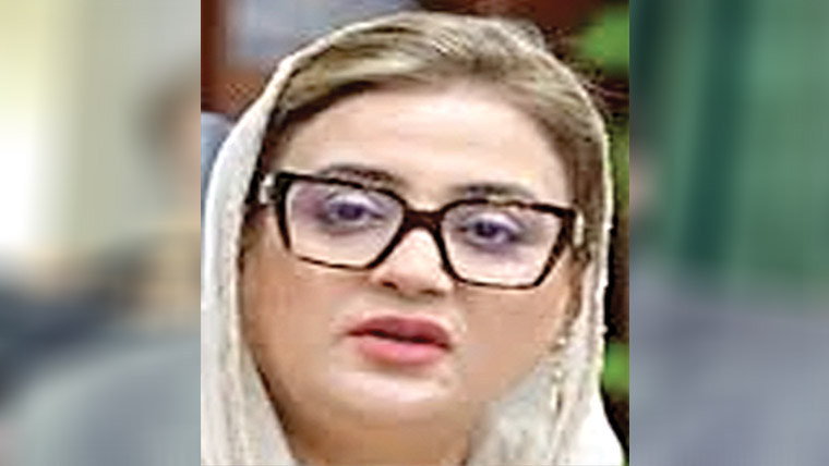 مریم نواز گورننس ماڈل میں سفارش نہیں چلتی