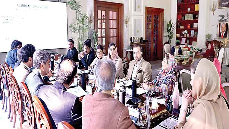 مین ہول میں گرنے کتے کاٹنے کے واقعات:مریم نواز افسروں پر برہم،اے سی لیہ کو اجلاس میں  بیٹھنے نہ دیا