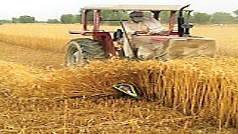 ٹریکٹر چلا کر فصل تباہ،مقدمہ درج