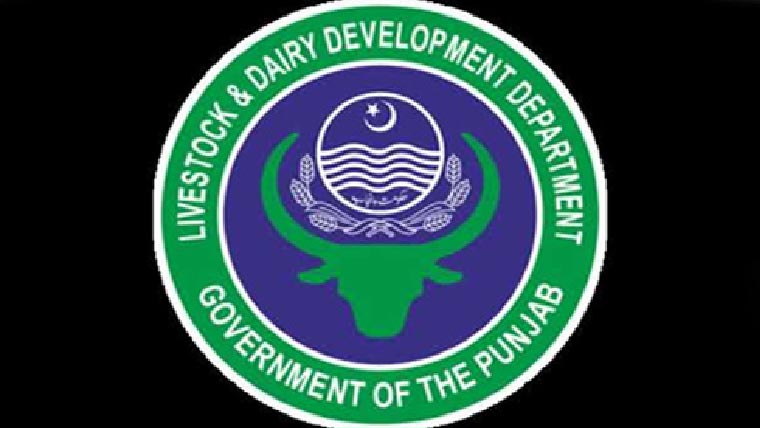 دو من سے زائد مضر صحت  اور بدبودار گوشت برآ مد 