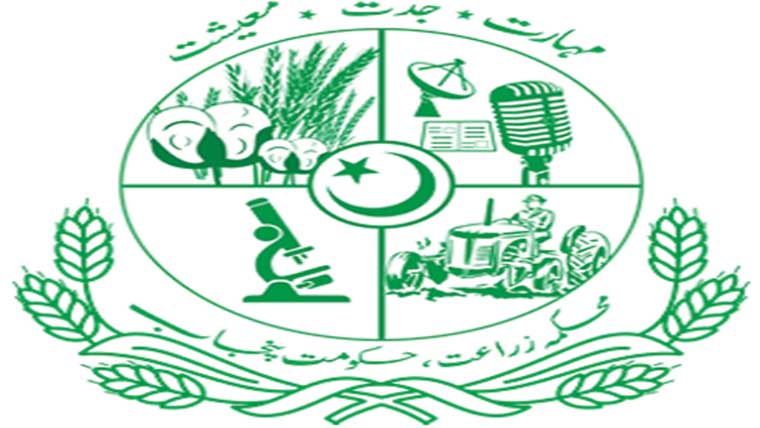 چوتھا کانووکیشن 