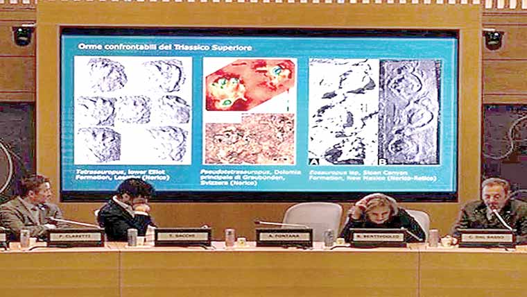 الپس کے پہاڑوں میں ڈائنو سارز کے قدموں کے نشانات 