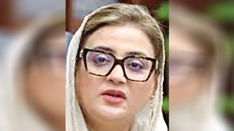  ویڈیو کیس، ملزموں پر فرد جرم 