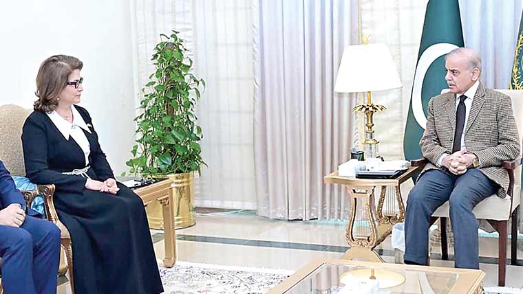 ٹیکس چوروں اور سمگلروں کیساتھ کسی قسم کر نرمی نہ برتی  جائے:شہباز شریف