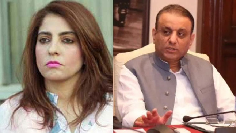 شٹ اپ،یوشٹ اپ،قائمہ کمیٹی اجلاس میں علیم خان اور پلوشہ میں تلخ کلامی