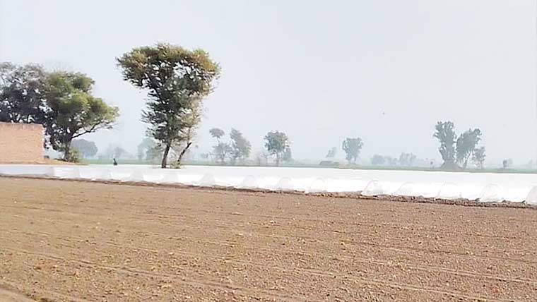 تتلے عالی:تحصیل بھر میں سینکڑوں ایکڑ پر تربوز وسبزی کاشت 