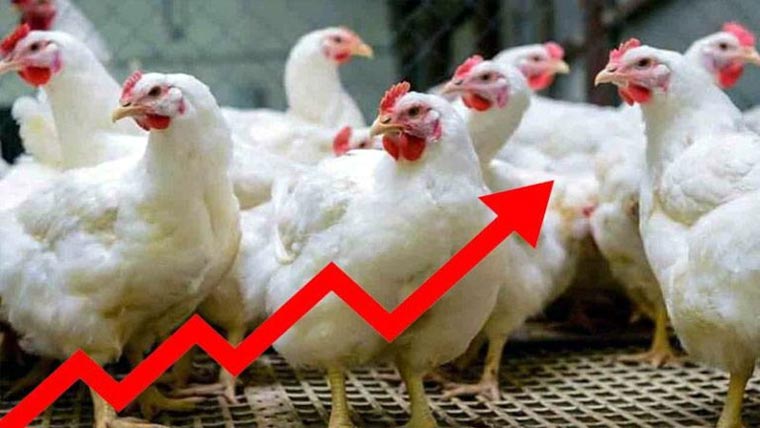 مرغی کا گوشت دوروز میں 200روپے کلومہنگا، شہری پریشان