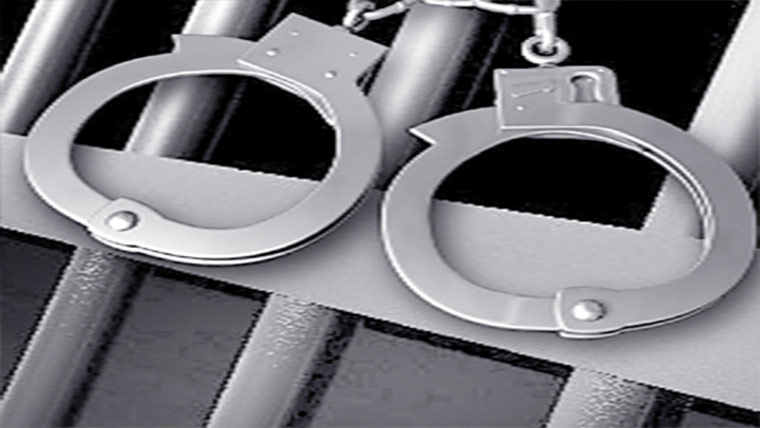 وہاڑی پولیس کی کارروائی   جرائم پیشہ گینگز کے 3 گرفتار