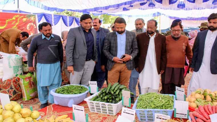 احسان علی جمالی کا منڈی ٹاؤن میں قائم کرسمس بازار کا دورہ 