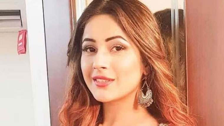 شہناز گل پاکستانی ڈرامے  کے او ایس ٹی کی دیوانی نکلیں