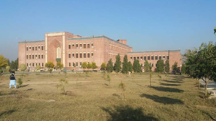  اسلامی یونیورسٹی میں تیندواگھس  آیا،طالبات میں خوف وہراس 