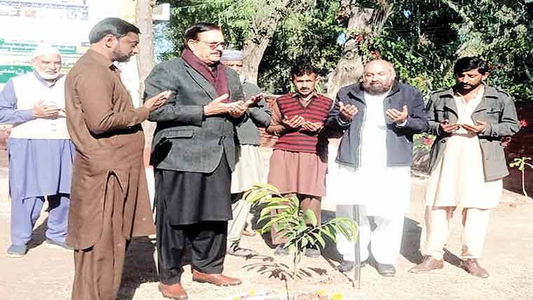 شجرکاری صدقہ جاریہ، ماحول دوست اقدامات ضروری:چودھری ممتاز 