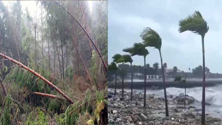 سویڈن اور فن لینڈ میں طوفان،سینکڑوں درخت اکھڑ گئے ،3افراد ہلاک 