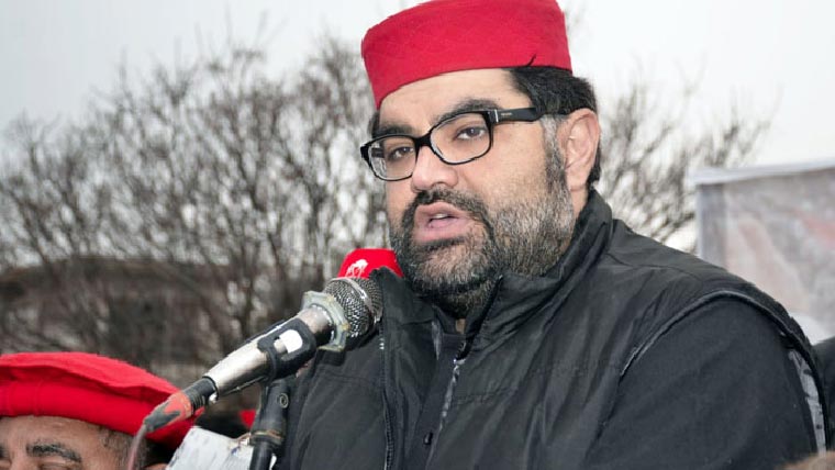  مسائل کا حل نجکاری ، حکومت کا کام کاروبار نہیں:ایمل ولی