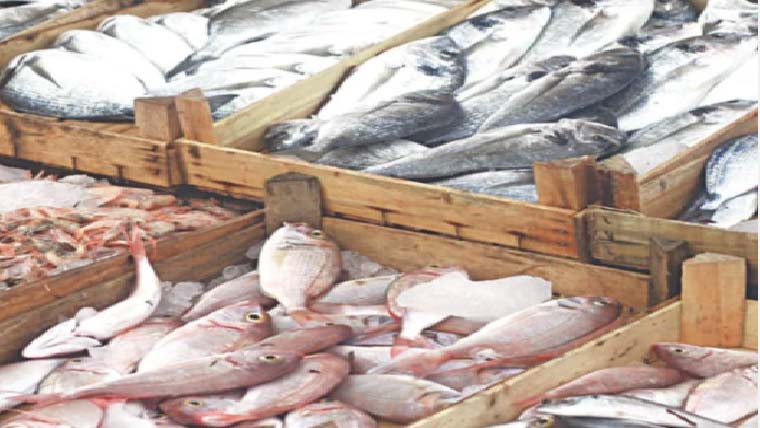 پاکستان کی چین کو سی فوڈ کی برآمدات میں 24فیصد اضافہ