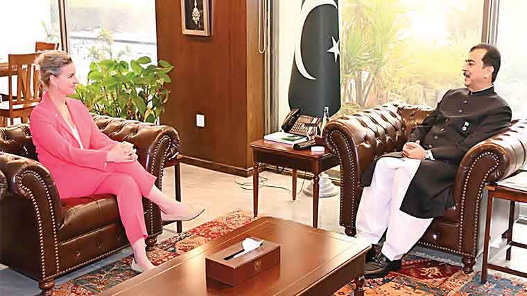 امریکا زراعت، آئی ٹی، معدنیات میں سرمایہ کاری کرے، چیئرمین سینیٹ