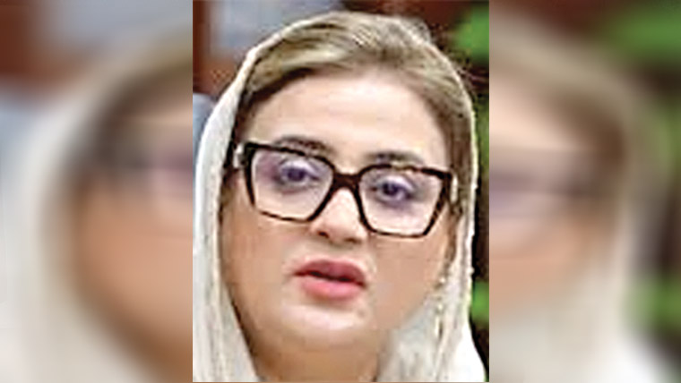 بلدیاتی الیکشن جماعتی بنیادوں پر ہونگے