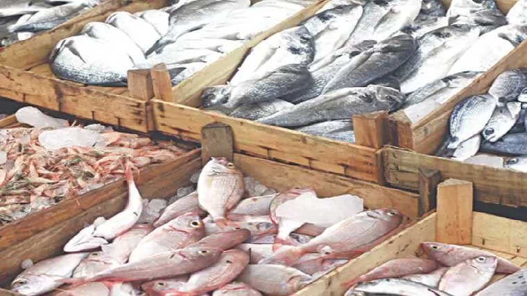 سی      فوڈ  برآمدات میں60فیصد  سے  زائد کمی،15کروڑ    ڈالر  رہ   گئیں