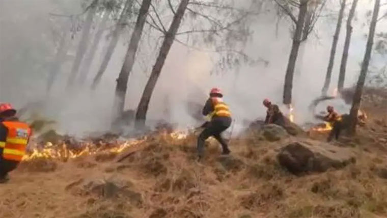  مری سے ملحقہ جنگل میں آتشزدگی 