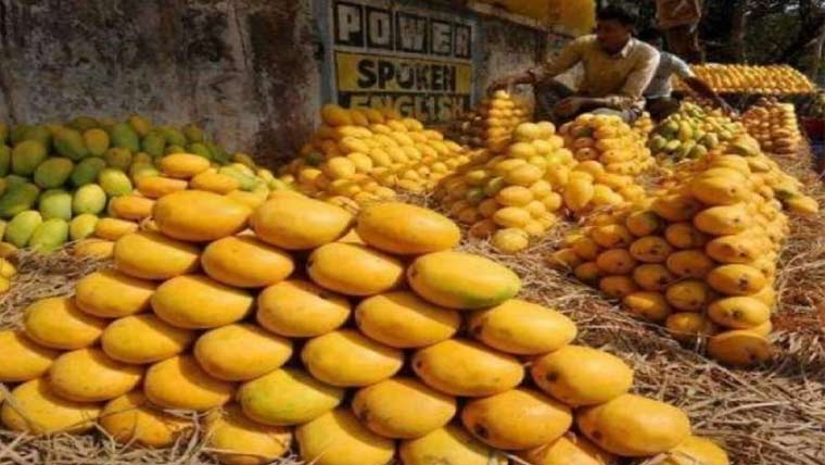  آم کی پیداوار 17لاکھ 52ہزار ٹن سے تجاوز کرگئی